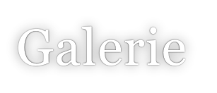Galerie